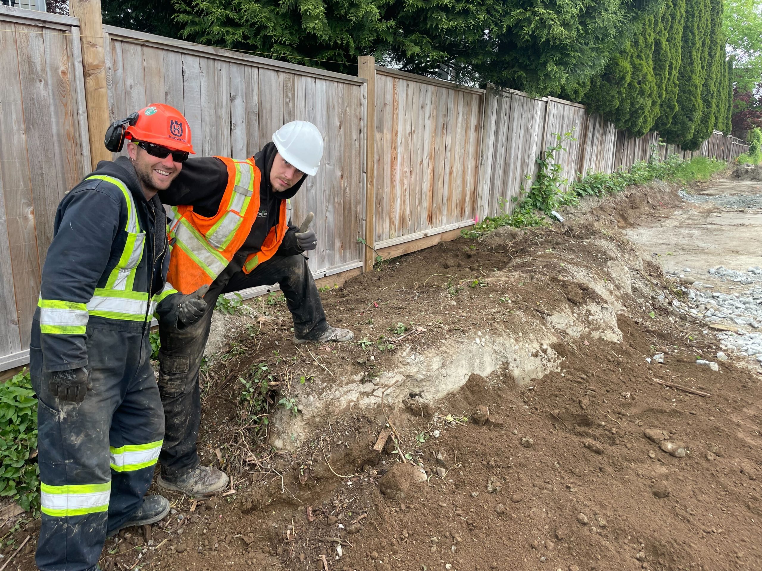 Knotweed Removal for Residential Properties: The Advantages of Physical Removal vs. Treatments